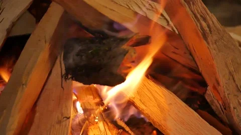 Bonfire at the Night Stock Footage 90056641