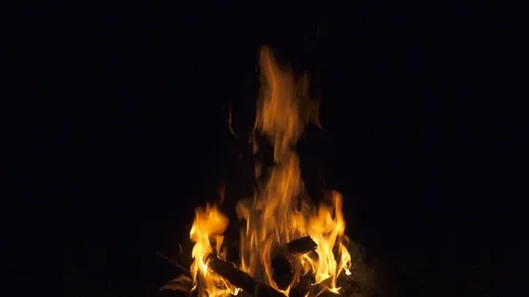 Bonfire at night Video stock 97754856