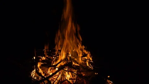 Bonfire at night Stock Footage 98151932