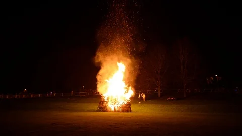 Bonfire at night Stock Footage 101745913