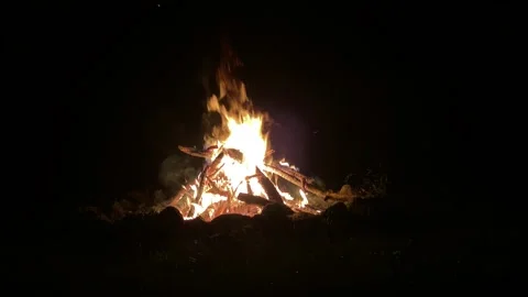 Bonfire at night Stock Footage 224156406