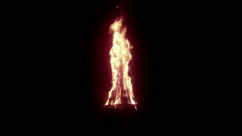 Bonfire at night Stock Footage 238835813