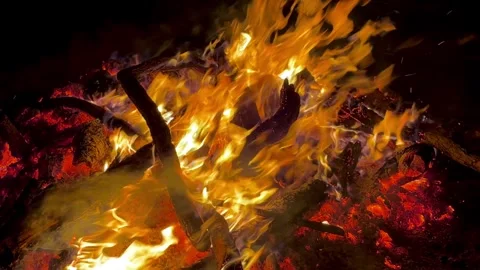 Bonfire at night Stock Footage 343616486