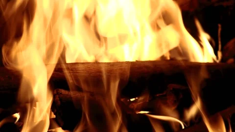 Bonfire at night in the forest Video stock 144144251