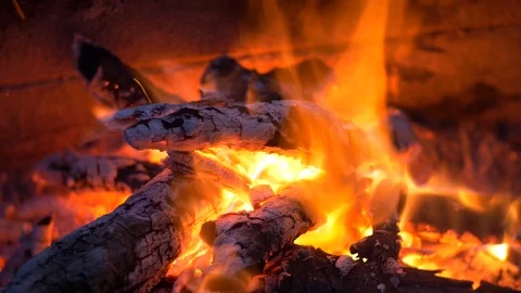 Bonfire at Night (loop) Stock Footage 109504510