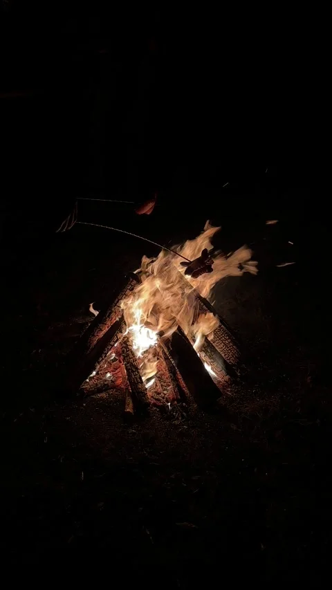 Bonfire at Night with People in the Background Stock Footage 291882403