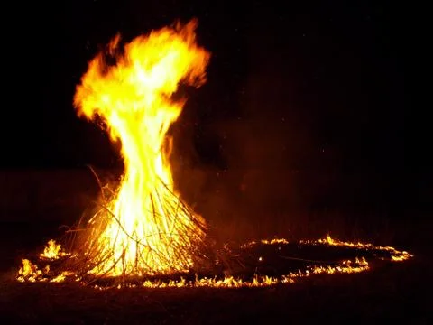 Bonfire in the night Stock Photos