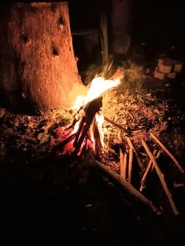 Bonfire at the night Stock Photos