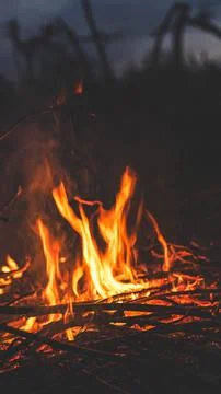 Bonfire in the night Stock Photos