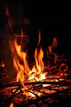 Bonfire in the night Stock Photos