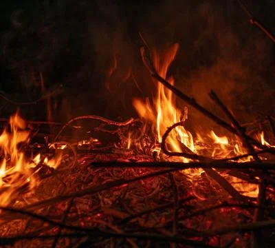 Bonfire in the night Stock Photos