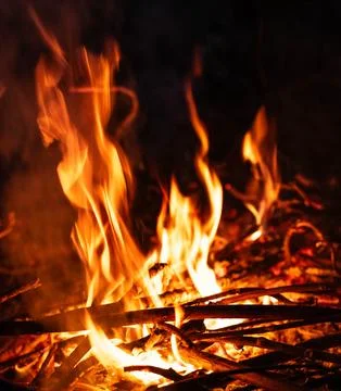 Bonfire in the night Stock Photos