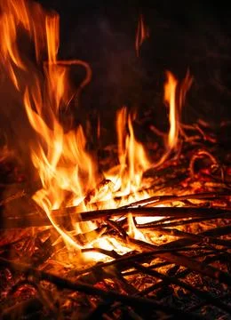 Bonfire in the night Stock Photos