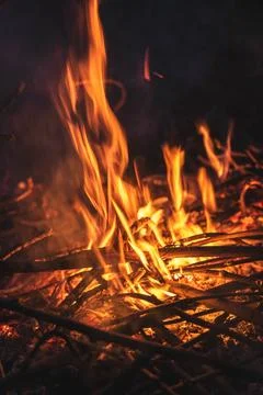 Bonfire in the night Stock Photos