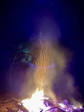 Bonfire at night Stock Photos