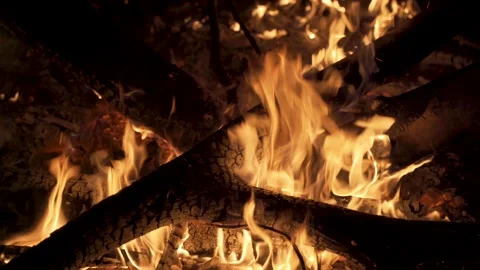 Bonfire at night, slide movement. 4K Stock Footage 137459632