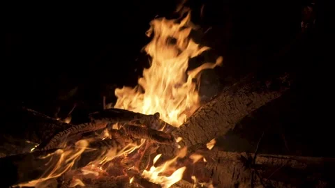 Bonfire at night, slide movement. Stock Footage 132591803