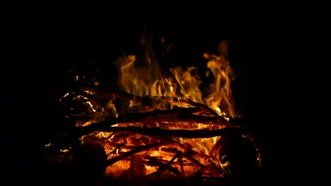 Bonfire at night slow motion. Full HD video footage Stock Footage 97838532