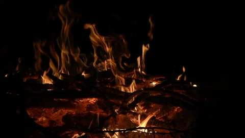 Bonfire at night slow motion, hd 1080p video footage Video stock 98465478