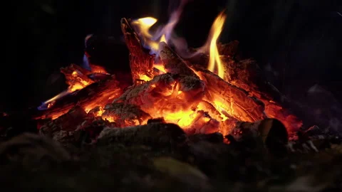 Bonfire at night time Stock Footage 142581538