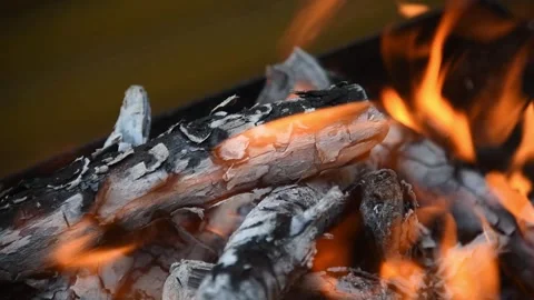 Bonfire or fireplace with scorching logs and branches. Stock Footage 243372504