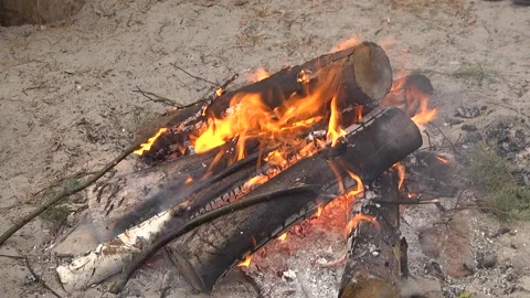 Bonfire. Orange flame of a fire. Arson or natural disaster Video stock 123964406