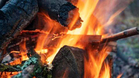Bonfire. Orange flame of a fire. Burning birch tree in the fireplace. Stock Photos