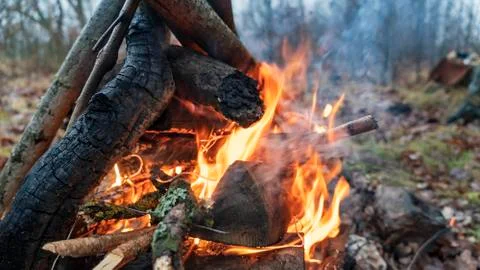 Bonfire. Orange flame of a fire. Burning birch tree in the fireplace. Flame Stock-Fotos