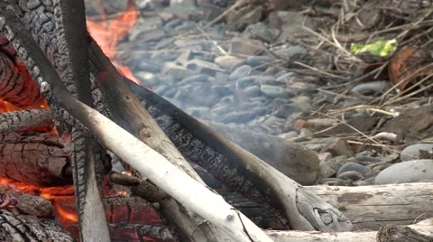 Bonfire panorama Stock Footage 52817594