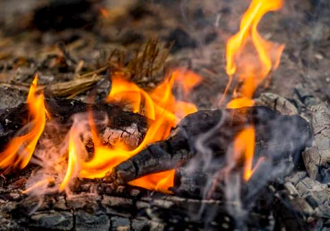 Bonfire Stock Photos