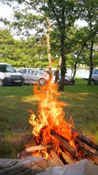 Bonfire Stock Photos