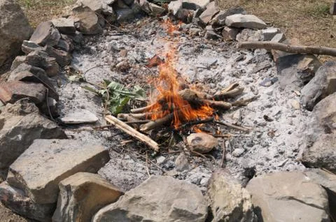 Bonfire Stock Photos