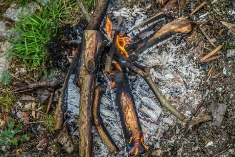 Bonfire Stock Photos