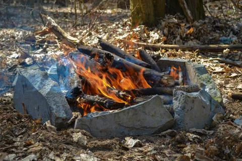 Bonfire Stock Photos