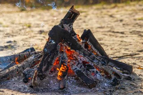 Bonfire. Stock Photos