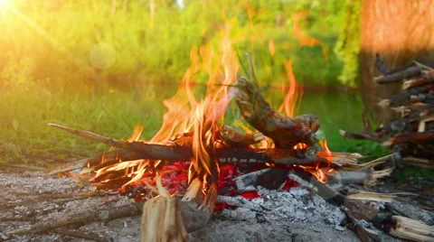 Bonfire , picnic in  forest Stock Footage 50617331