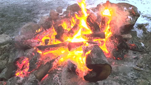 Bonfire of pine logs Stock Footage 221949042