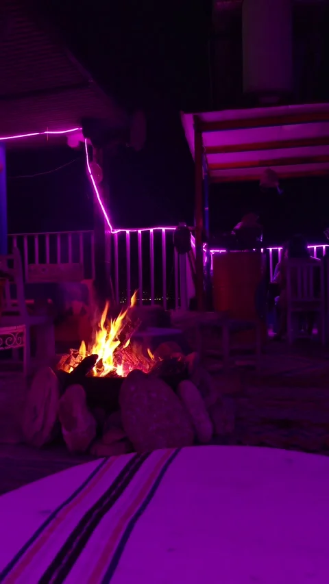 Bonfire in pink background at night 库存影片 219356313