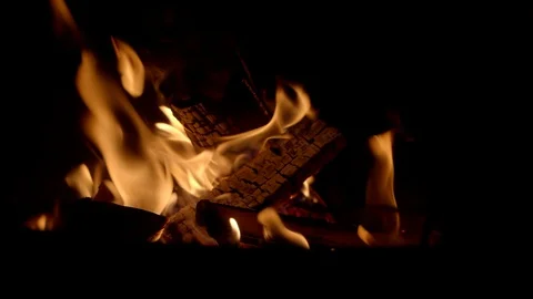 Bonfire pit Camping Close Stock Footage 88702727