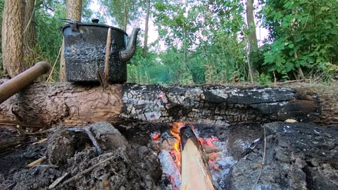 Bonfire, pot, small shovel by the river. Stock Footage 138874183