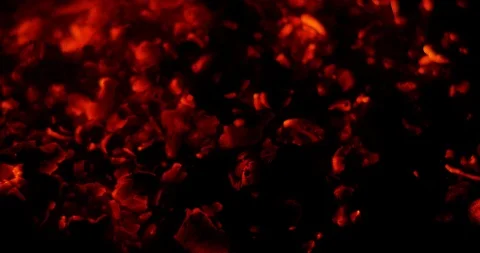 Bonfire Red Hot Coals Stock Footage 99129043