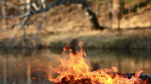 Bonfire of the river Stock Footage 49747721