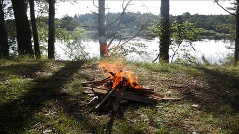 Bonfire by the river in the forest Stock Footage 117253461