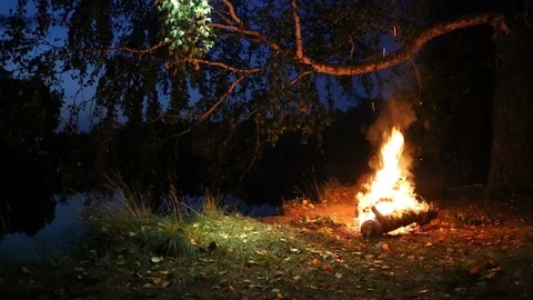 Bonfire by the river in the forest at night. Romantic evening. Video stock 127157218