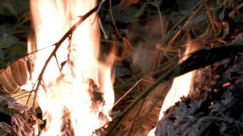 Bonfire on roadside Stock Footage 43739108