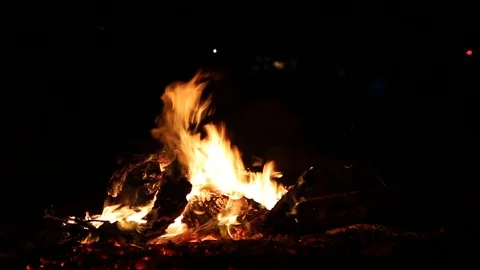 Bonfire in the Sahara Desert Video stock 108753738
