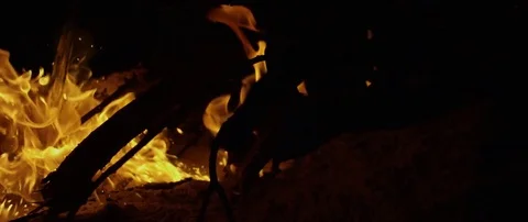 Bonfire set ablaze at night Stock Footage 80998867