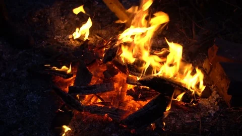 Bonfire shake coal Stock Footage 79577862