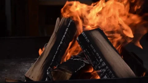 Bonfire, slow motion close up view wood burning fire Video stock 134739659