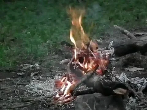 Bonfire slow motion Vidéo 7130418
